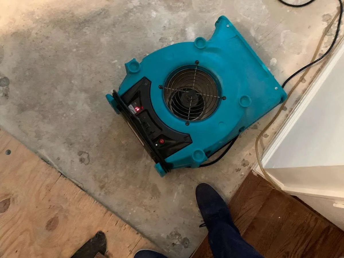 Air mover drying subfloor during Leak Detection & Repair in Dudley